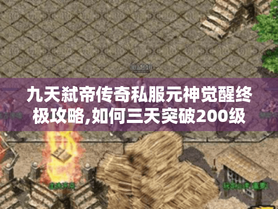 九天弑帝传奇私服元神觉醒终极攻略,如何三天突破200级? 九天弑帝传奇私服元神觉醒终极攻略,如何三天突破200级?