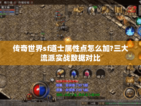 传奇世界sf道士属性点怎么加?三大流派实战数据对比 传奇世界sf道士属性点怎么加?三大流派实战数据对比