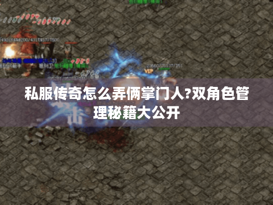 私服传奇怎么弄俩掌门人?双角色管理秘籍大公开 私服传奇怎么弄俩掌门人?双角色管理秘籍大公开