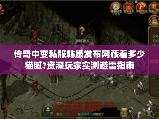 传奇中变私服韩版发布网藏着多少猫腻?资深玩家实测避雷指南 传奇中变私服韩版发布网藏着多少猫腻?资深玩家实测避雷指南