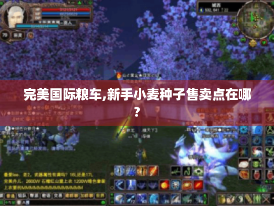 完美国际粮车,新手小麦种子售卖点在哪? 完美国际粮车,新手小麦种子售卖点在哪?