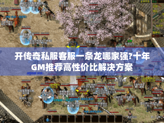 开传奇私服客服一条龙哪家强?十年GM推荐高性价比解决方案 开传奇私服客服一条龙哪家强?十年GM推荐高性价比解决方案