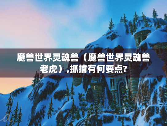 魔兽世界灵魂兽(魔兽世界灵魂兽老虎),抓捕有何要点? 魔兽世界灵魂兽(魔兽世界灵魂兽老虎),抓捕有何要点?