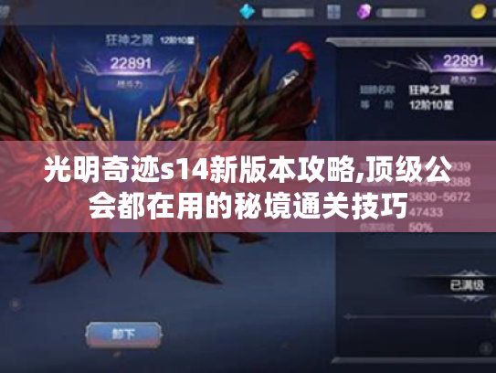 光明奇迹s14新版本攻略,顶级公会都在用的秘境通关技巧 光明奇迹s14新版本攻略,顶级公会都在用的秘境通关技巧