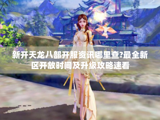 新开天龙八部开服资讯哪里查?最全新区开放时间及升级攻略速看