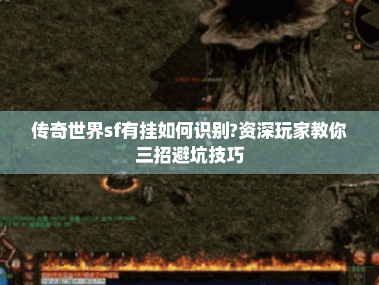 传奇世界sf有挂如何识别?资深玩家教你三招避坑技巧 传奇世界sf有挂如何识别?资深玩家教你三招避坑技巧