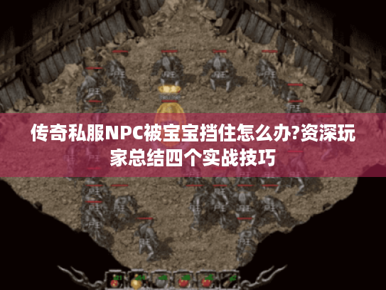 传奇私服NPC被宝宝挡住怎么办?资深玩家总结四个实战技巧 传奇私服NPC被宝宝挡住怎么办?资深玩家总结四个实战技巧