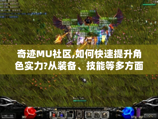 奇迹MU社区,如何快速提升角色实力?从装备、技能等多方面揭秘
