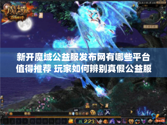 新开魔域公益服发布网有哪些平台值得推荐 玩家如何辨别真假公益服 新开魔域公益服发布网有哪些平台值得推荐 玩家如何辨别真假公益服