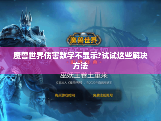 魔兽世界伤害数字不显示?试试这些解决方法 魔兽世界伤害数字不显示?试试这些解决方法