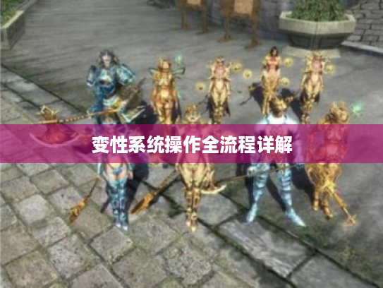 变性系统操作全流程详解