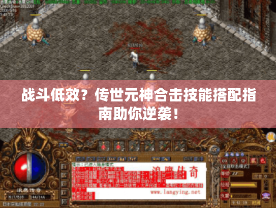 战斗低效?传世元神合击技能搭配指南助你逆袭! 战斗低效?传世元神合击技能搭配指南助你逆袭!