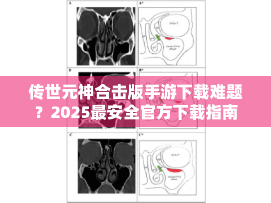 传世元神合击版手游下载难题？2025最安全官方下载指南