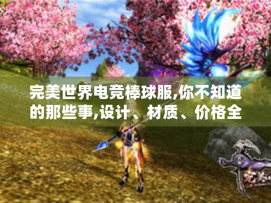 完美世界电竞棒球服,你不知道的那些事,设计、材质、价格全揭秘! 完美世界电竞棒球服,你不知道的那些事,设计、材质、价格全揭秘!