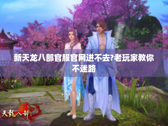 新天龙八部官服官网进不去?老玩家教你不迷路 新天龙八部官服官网进不去?老玩家教你不迷路