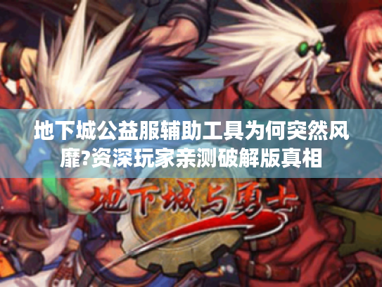 地下城公益服辅助工具为何突然风靡?资深玩家亲测破解版真相