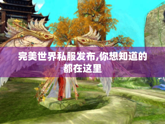 完美世界私服发布,你想知道的都在这里 完美世界私服发布,你想知道的都在这里