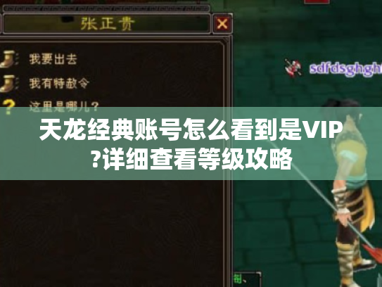 天龙经典账号怎么看到是VIP?详细查看等级攻略 天龙经典账号怎么看到是VIP?详细查看等级攻略