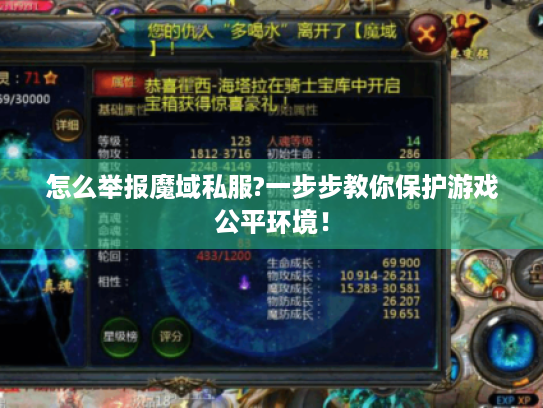 怎么举报魔域私服?一步步教你保护游戏公平环境! 怎么举报魔域私服?一步步教你保护游戏公平环境!