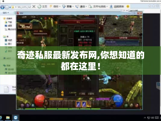 奇迹私服最新发布网,你想知道的都在这里! 奇迹私服最新发布网,你想知道的都在这里!