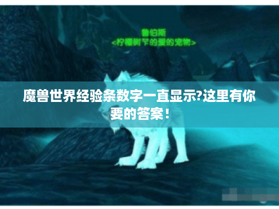 魔兽世界经验条数字一直显示?这里有你要的答案! 魔兽世界经验条数字一直显示?这里有你要的答案!