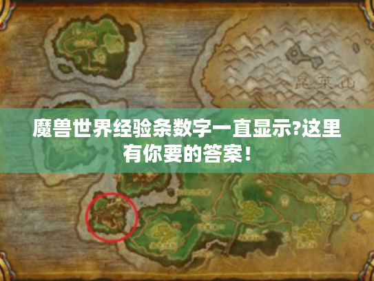 魔兽世界经验条数字一直显示?这里有你要的答案! 魔兽世界经验条数字一直显示?这里有你要的答案!