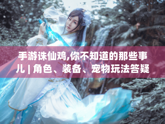 手游诛仙鸡,你不知道的那些事儿 | 角色、装备、宠物玩法答疑 手游诛仙鸡,你不知道的那些事儿 | 角色、装备、宠物玩法答疑