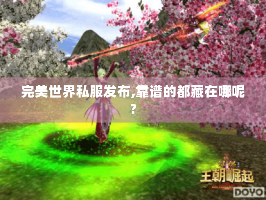 完美世界私服发布,靠谱的都藏在哪呢? 完美世界私服发布,靠谱的都藏在哪呢?