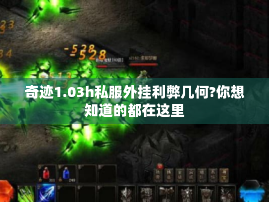 奇迹1.03h私服外挂利弊几何?你想知道的都在这里 奇迹1.03h私服外挂利弊几何?你想知道的都在这里