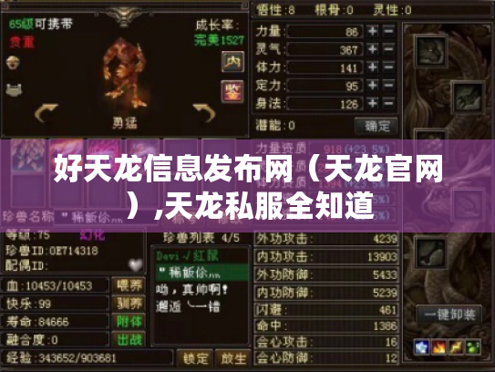 好天龙信息发布网（天龙官网）,天龙私服全知道