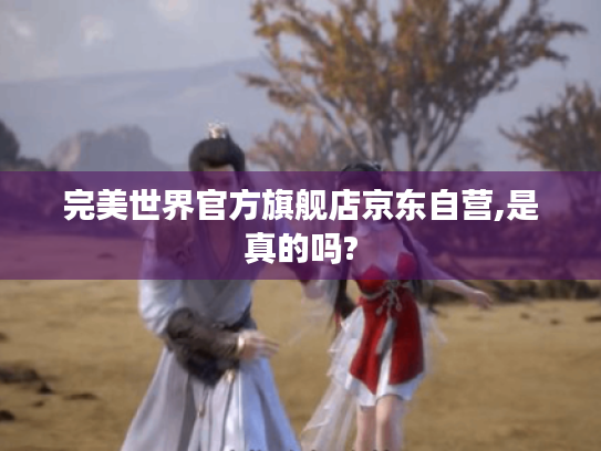 完美世界官方旗舰店京东自营,是真的吗? 完美世界官方旗舰店京东自营,是真的吗?
