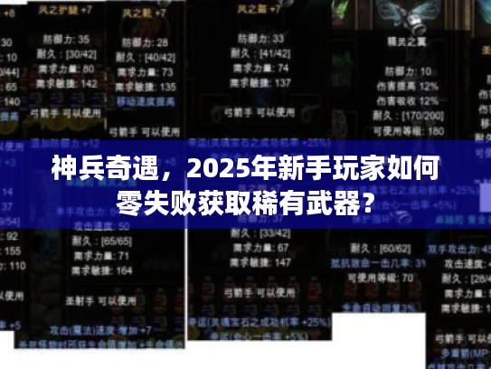 神兵奇遇，2025年新手玩家如何零失败获取稀有武器？