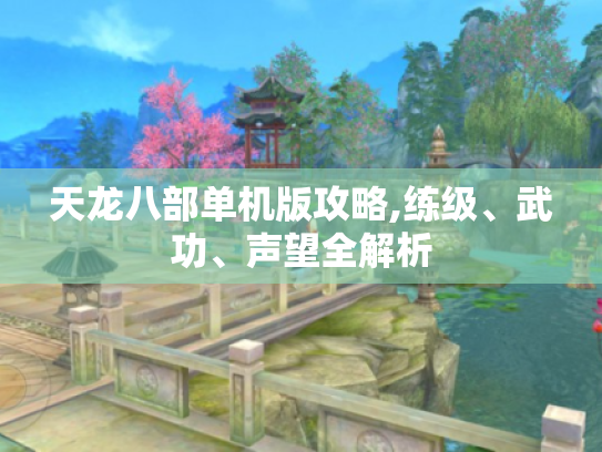 天龙八部单机版攻略,练级、武功、声望全解析 天龙八部单机版攻略,练级、武功、声望全解析