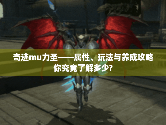 奇迹mu力圣——属性、玩法与养成攻略你究竟了解多少? 奇迹mu力圣——属性、玩法与养成攻略你究竟了解多少?