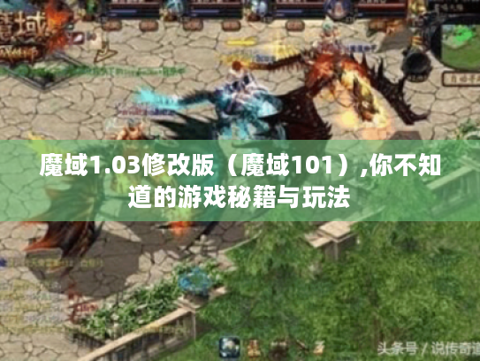 魔域1.03修改版(魔域101),你不知道的游戏秘籍与玩法 魔域1.03修改版(魔域101),你不知道的游戏秘籍与玩法