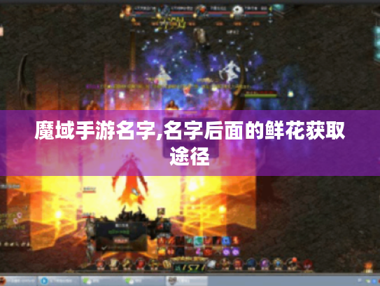 魔域手游名字,名字后面的鲜花获取途径 魔域手游名字,名字后面的鲜花获取途径