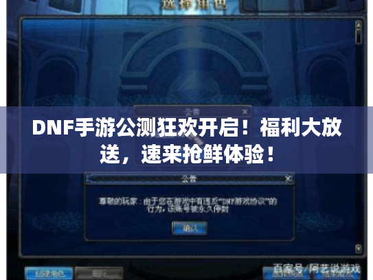 DNF手游公测狂欢开启!福利大放送,速来抢鲜体验! DNF手游公测狂欢开启!福利大放送,速来抢鲜体验!