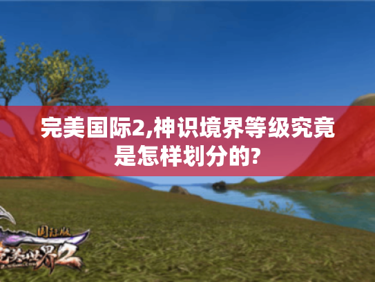 完美国际2,神识境界等级究竟是怎样划分的? 完美国际2,神识境界等级究竟是怎样划分的?
