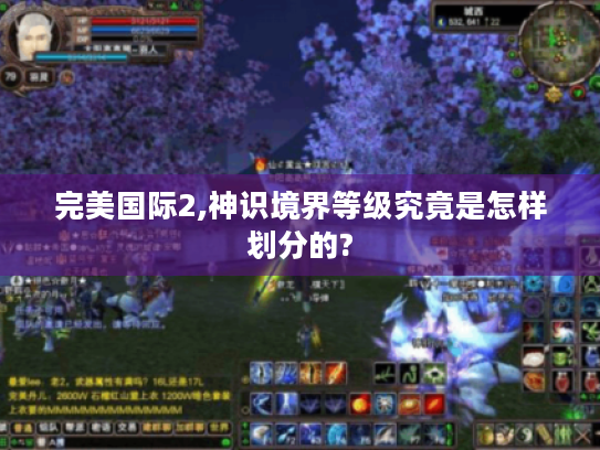 完美国际2,神识境界等级究竟是怎样划分的? 完美国际2,神识境界等级究竟是怎样划分的?