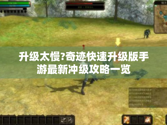 升级太慢?奇迹快速升级版手游最新冲级攻略一览 升级太慢?奇迹快速升级版手游最新冲级攻略一览