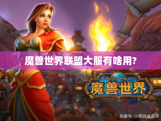 魔兽世界联盟大服有啥用? 魔兽世界联盟大服有啥用?