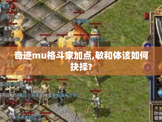 奇迹mu格斗家加点,敏和体该如何抉择? 奇迹mu格斗家加点,敏和体该如何抉择?