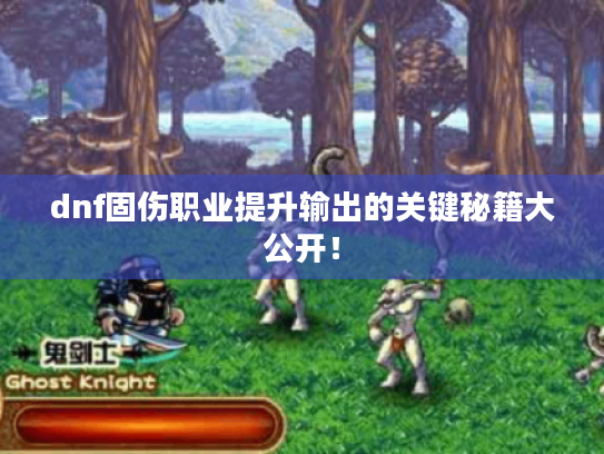 dnf固伤职业提升输出的关键秘籍大公开! dnf固伤职业提升输出的关键秘籍大公开!