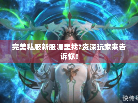 完美私服新服哪里找?资深玩家来告诉你! 完美私服新服哪里找?资深玩家来告诉你!