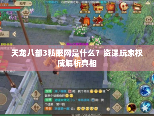 天龙八部3私服网是什么?资深玩家权威解析真相 天龙八部3私服网是什么?资深玩家权威解析真相