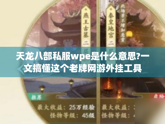 天龙八部私服wpe是什么意思?一文搞懂这个老牌网游外挂工具 天龙八部私服wpe是什么意思?一文搞懂这个老牌网游外挂工具