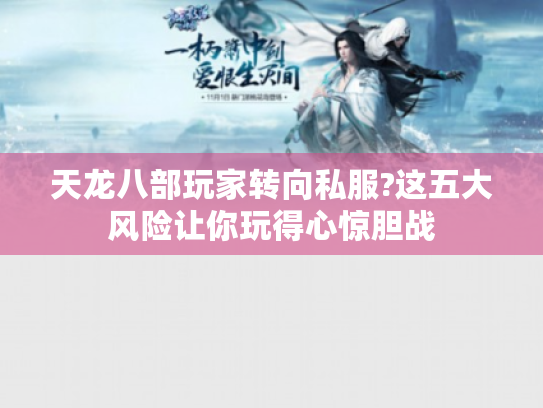 天龙八部玩家转向私服?这五大风险让你玩得心惊胆战