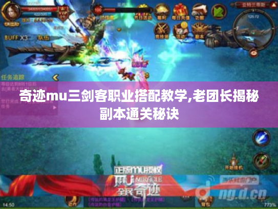 奇迹mu三剑客职业搭配教学,老团长揭秘副本通关秘诀