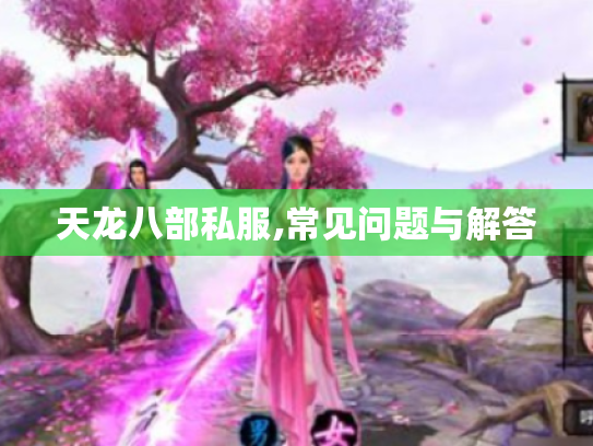 天龙八部私服,常见问题与解答 天龙八部私服,常见问题与解答
