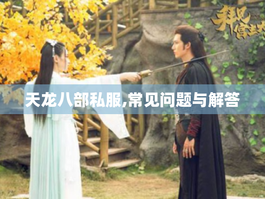 天龙八部私服,常见问题与解答 天龙八部私服,常见问题与解答